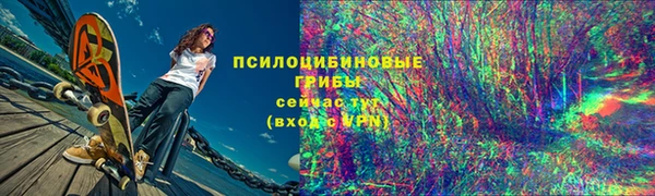 ПСИЛОЦИБИНОВЫЕ ГРИБЫ Волоколамск