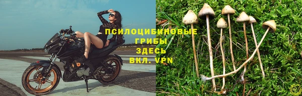 каннабис Володарск