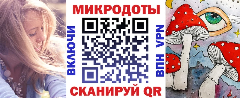 что такое   Строитель  Галлюциногенные грибы Psilocybe 
